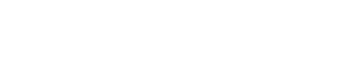 Viaveho Logo